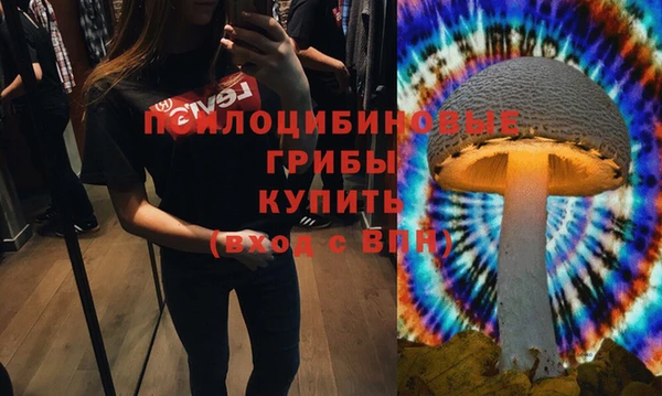 синтетический гашиш Алексеевка
